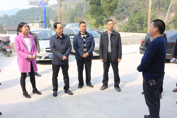 �Ѵ�˫���������硢��̫����ƶ���Ṥ��